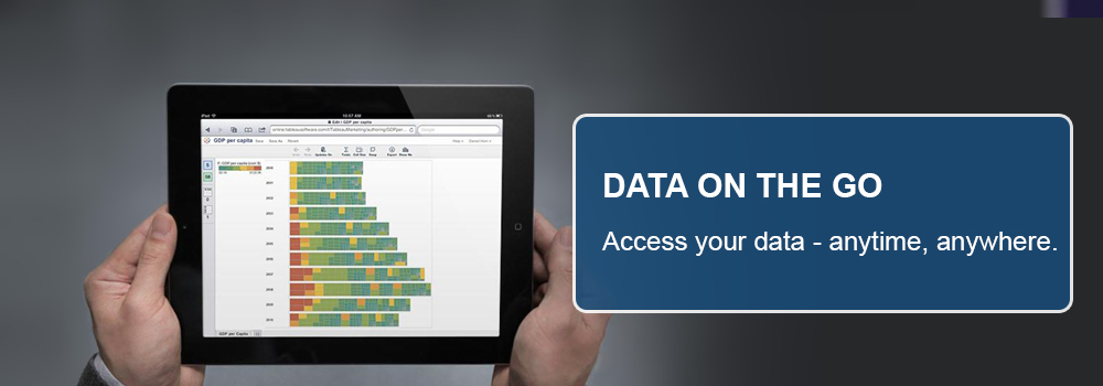 Mobile Business Intelligence
